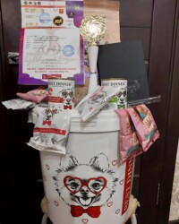 Диплом победителя монопородной выставки, кубок и призы