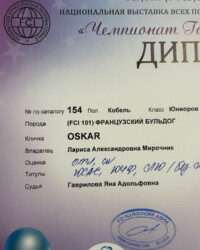 Диплом «Чемпионата Галактики-2024» крупным планом