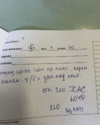 Оценочный лист эксперта с описанием собаки