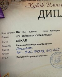 Диплом «Кубка Империала-2024» крупным планом