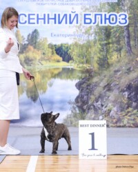 Оскар в стойке на фоне баннера выставки «Осенний блюз»