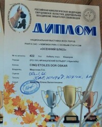 Диплом выставки «Осенний блюз»
