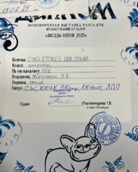 Диплом монопородной выставки «Звёзды Алтая-2025» и сертификат ЮКЧК