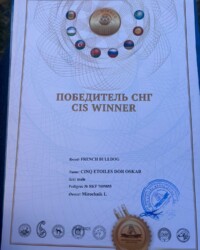 Диплом «Победитель СНГ / CIS Winner», Ереван