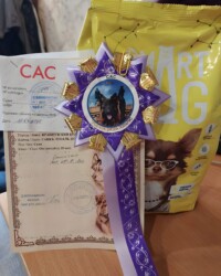 Сертификат САС с подписью судьи и наградная розетка