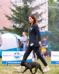Гера бежит рядом с хендлером по травяному рингу