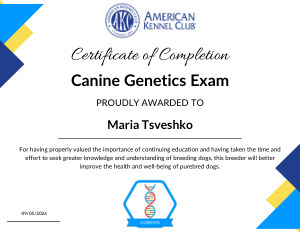 Сертификат American Kennel Club: Maria Tsveshko, Canine Genetics Exam, 5 сентября 2026 года