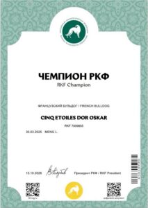 Диплом «ЧЕМПИОН РКФ (ЧРКФ)» — CINQ ETOILES DOR OSKAR, RKF 7009855, выдан 13.10.2026.