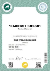 Диплом «ЧЕМПИОН РОССИИ (ЧР)» — CINQ ETOILES DOR OSKAR, RKF 7009855, выдан 13.10.2026.