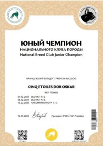 Диплом «ЮНЫЙ ЧЕМПИОН НАЦИОНАЛЬНОГО КЛУБА ПОРОДЫ (ЮЧНКП)» — CINQ ETOILES DOR OSKAR, RKF 7009855, выдан 12.10.2026.