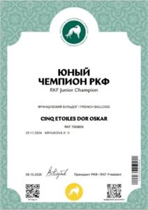 Диплом «ЮНЫЙ ЧЕМПИОН РКФ (ЮЧРКФ)» — CINQ ETOILES DOR OSKAR, RKF 7009855, выдан 09.10.2026.