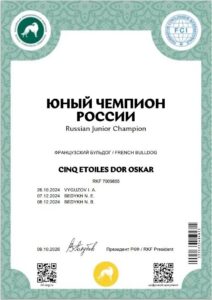 Диплом «ЮНЫЙ ЧЕМПИОН РОССИИ (ЮЧР)» — CINQ ETOILES DOR OSKAR, RKF 7009855, выдан 09.10.2026.