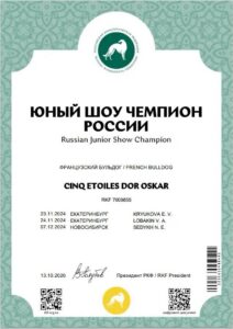 Диплом «ЮНЫЙ ШОУ ЧЕМПИОН РОССИИ» — CINQ ETOILES DOR OSKAR, RKF 7009855, выдан 13.10.2026.